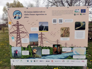 488372593 29827531023500732 8746375597460773670 n 